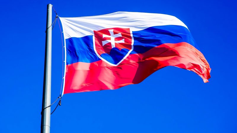 Словацька Nafta отримала контроль над CNG Holdings: добуватиме газ на Закарпатті