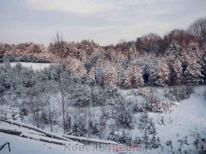 Справа Старо-Вижівського родовища піску: суд викликає Держгеонадра