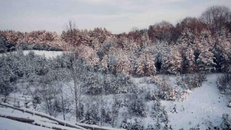 Справа Старо-Вижівського родовища піску: суд викликає Держгеонадра