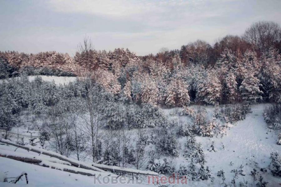 Справа Старо-Вижівського родовища піску: суд викликає Держгеонадра