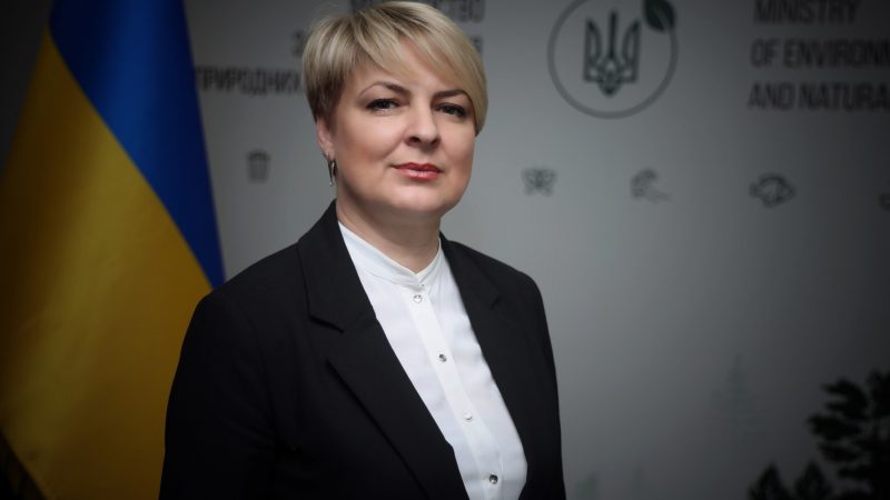 Перший заступник Міністра довкілля Олена Крамаренко подала у відставку