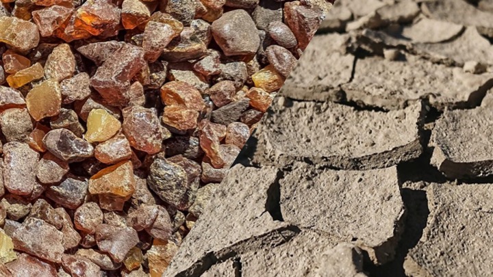 Глина і бурштин: Держгеонадра оголосили 12 нових аукціонів