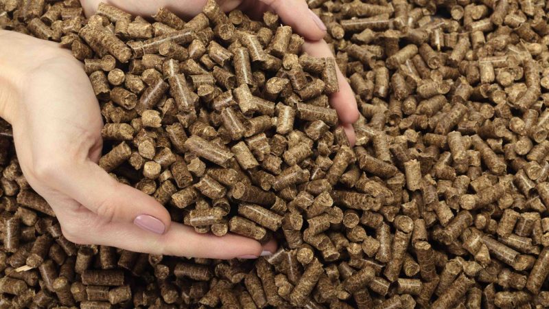 Тернопільський кар’єр виставив на продаж комплекс для виробництва деревних пелет