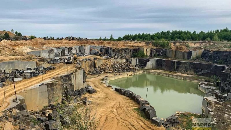 На 20 років: карʼєру габро Starry Night продовжили дію спецдозволу