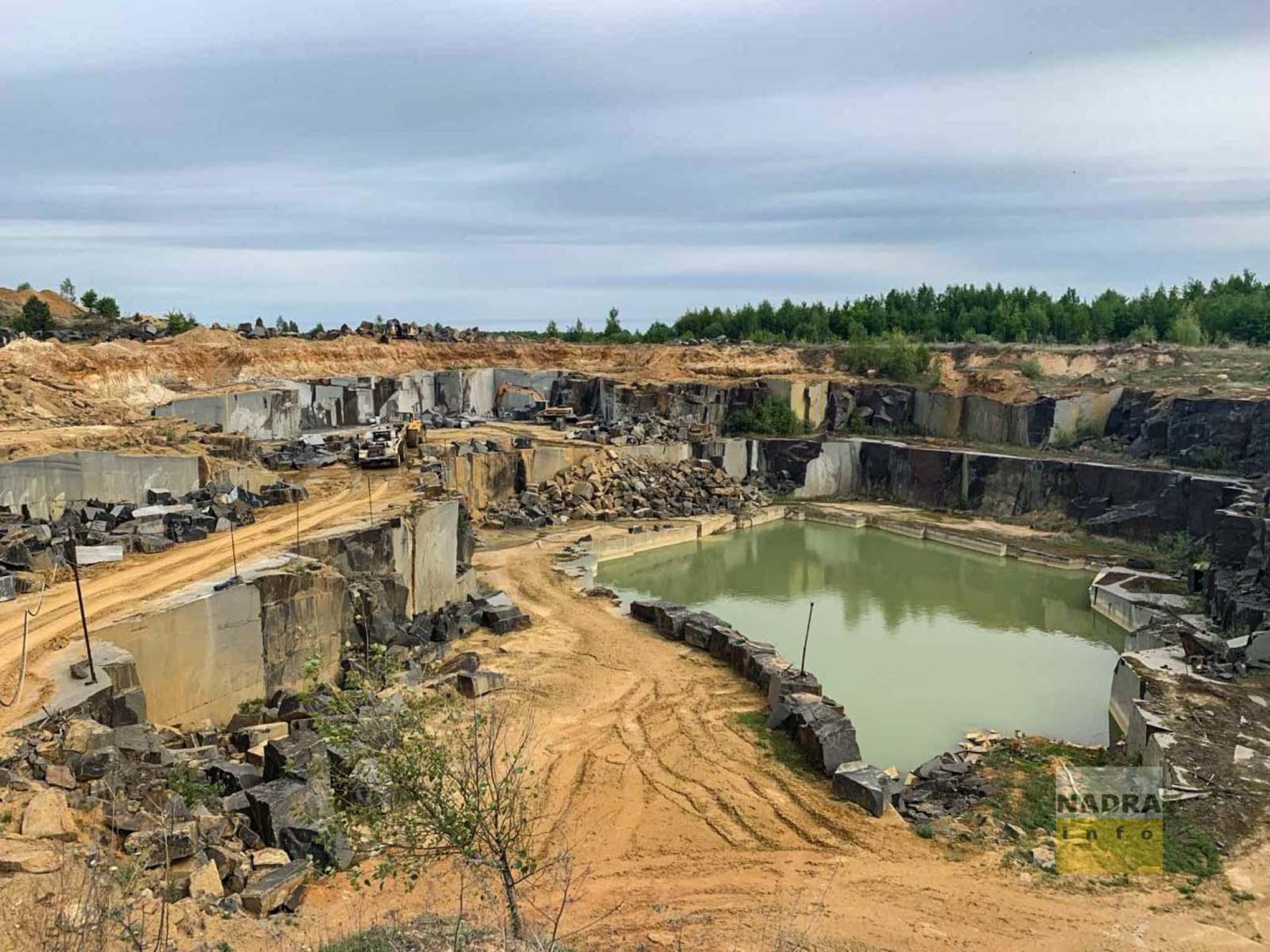 На 20 років: карʼєру габро Starry Night продовжили дію спецдозволу