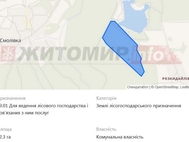 Житомирська облрада передає під кар’єр 42,3 га лісу (Житомир.Info)