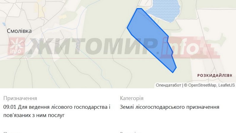 Житомирська облрада передає під кар’єр 42,3 га лісу (Житомир.Info)