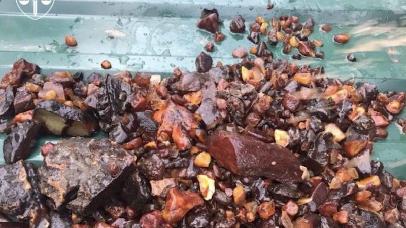 ОГП: Викрито тіньового куратора незаконного видобутку бурштину на 354 млн грн