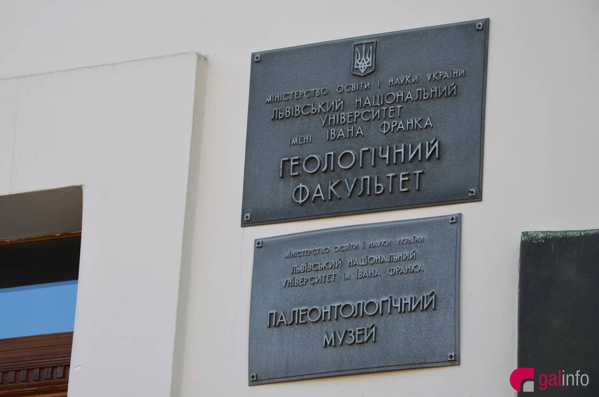 Золота лихоманка на Грушевського, або де у Львівському університеті приборкали мамонтів (Гал-інфо)