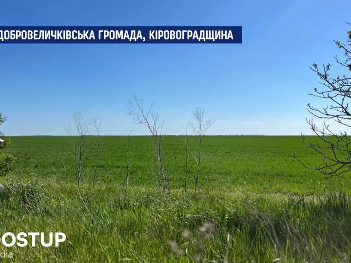Що відбувається з ділянкою літієвих руд Добра на Кіровоградщині (Доступ. Медіа)
