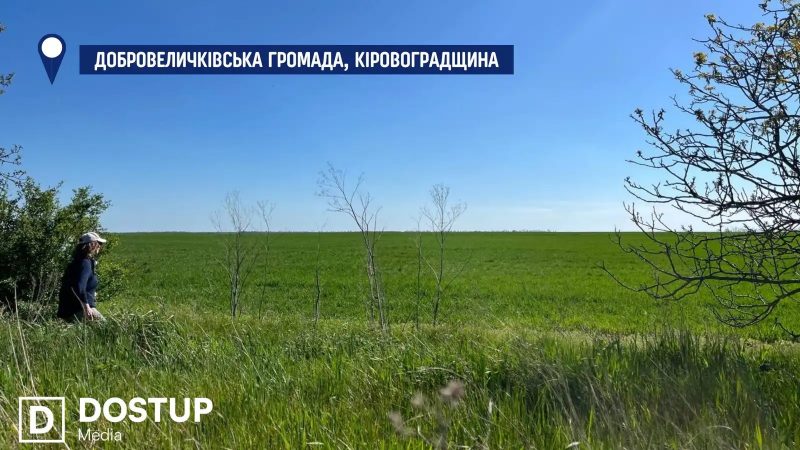 Що відбувається з ділянкою літієвих руд Добра на Кіровоградщині (Доступ. Медіа)