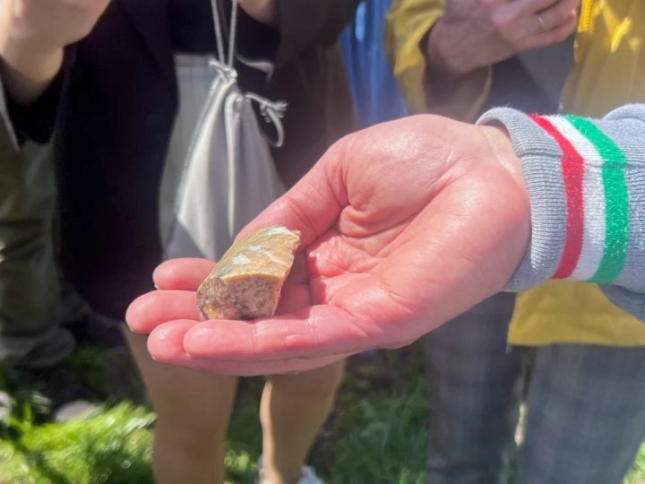 Як американські компанії змагаються за літієві надра Кіровоградщини – LB.ua