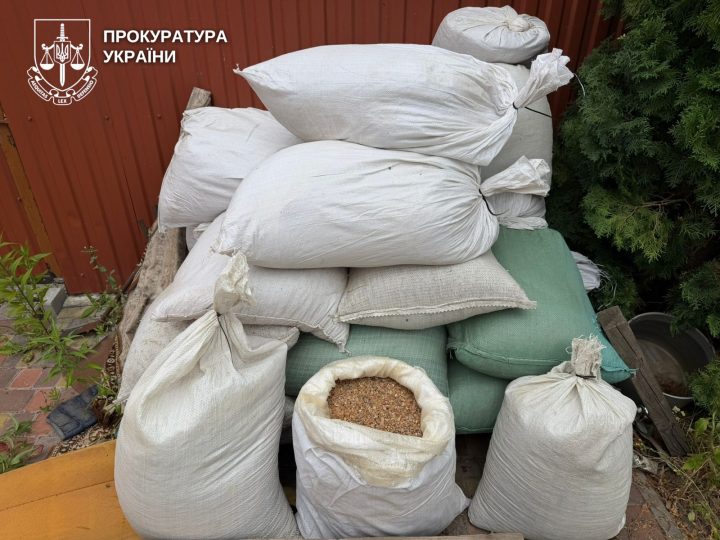 Правоохоронці вилучили 656 кг бурштину у нелегальних скупників