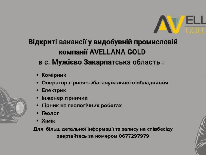 Avellana Gold оголосила вакансії