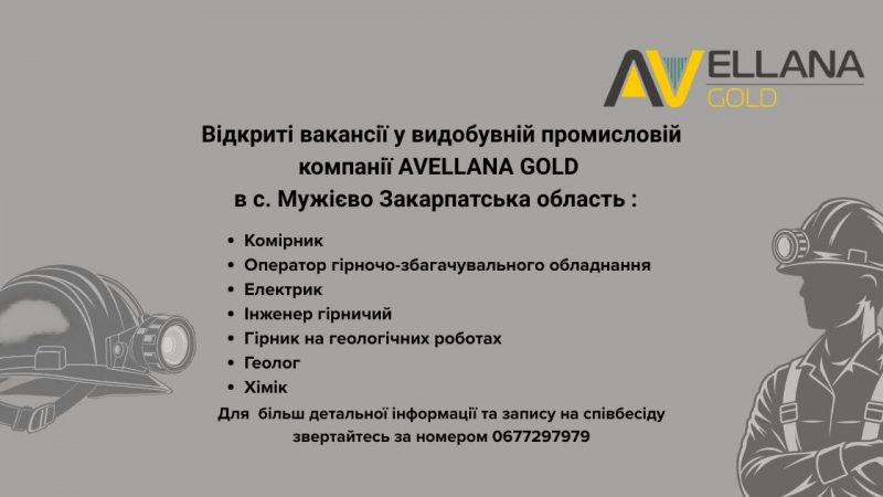 Avellana Gold оголосила вакансії