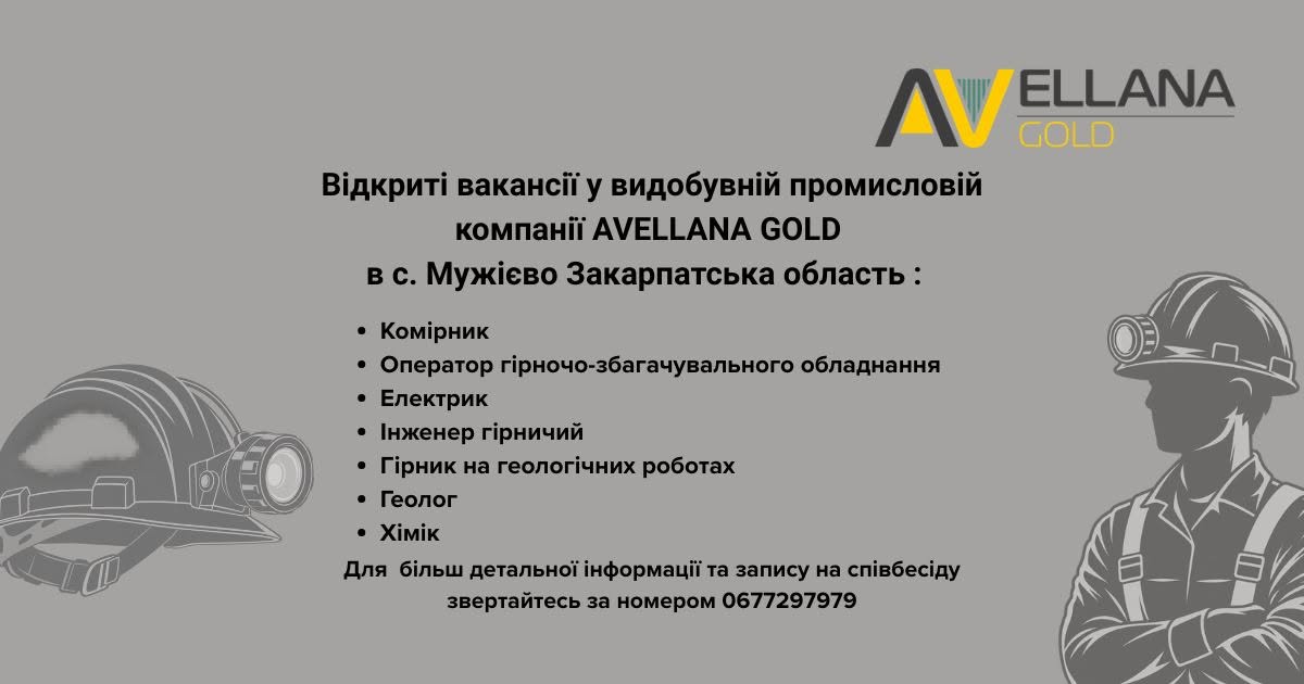 Avellana Gold оголосила вакансії