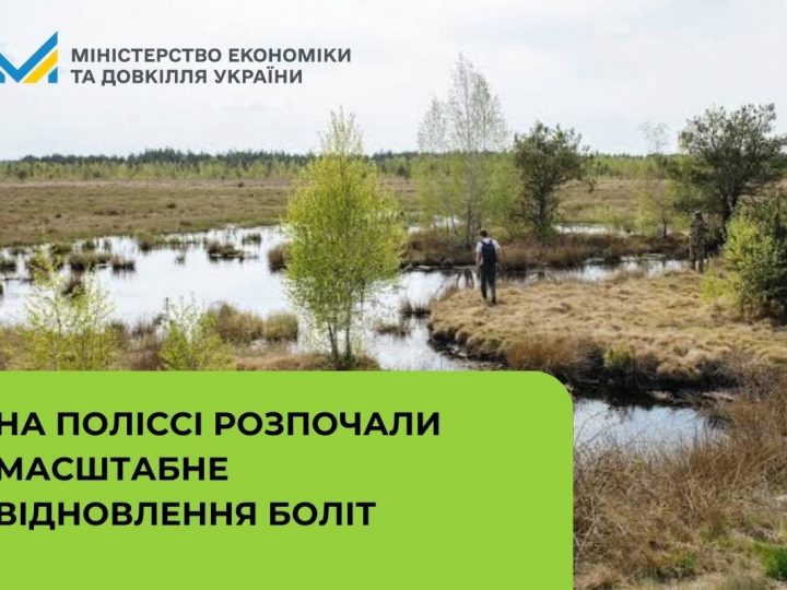 Мінекономіки: На Поліссі розпочали масштабне відновлення боліт