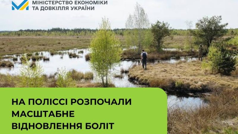 Мінекономіки: На Поліссі розпочали масштабне відновлення боліт