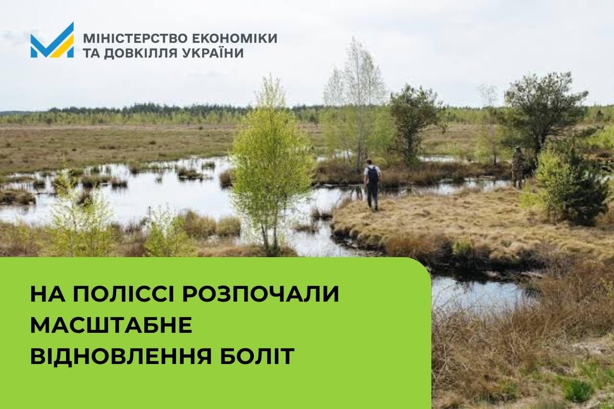 Мінекономіки: На Поліссі розпочали масштабне відновлення боліт